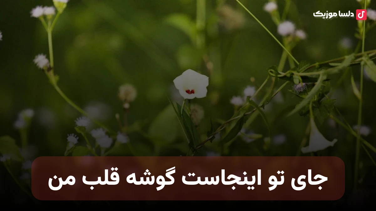 جای تو اینجاست گوشه قلب منی هایده